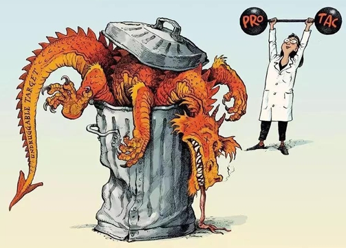 聚焦PROTAC：Make“Undruggable”TargetsDrugable