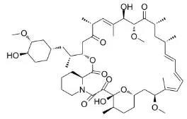 雷帕霉素新制剂用于罕见病，获4500万美元融资