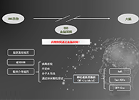 人工合成NT类脂质开放血脑屏障，为CNS药物打开新局面