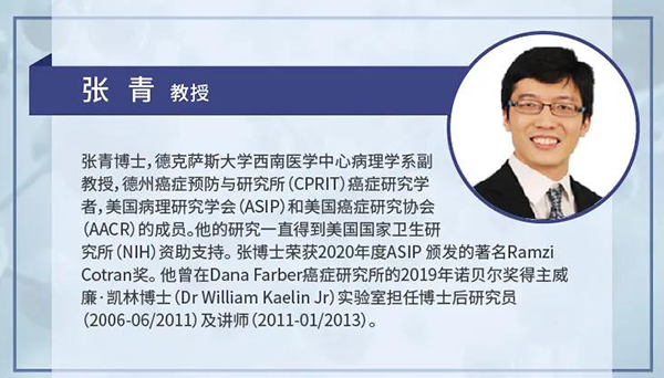 直播预告|诺奖实验室讲师张青教授做客人生就是博云讲堂，揭示乳腺癌和肾癌治疗新靶点