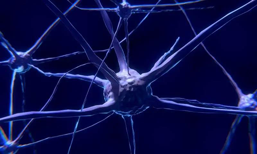 研究首次表明，与年龄有关的认知丧失可能主要是由一种可逆的生理性“阻滞”而不是永久性的降解引起的。