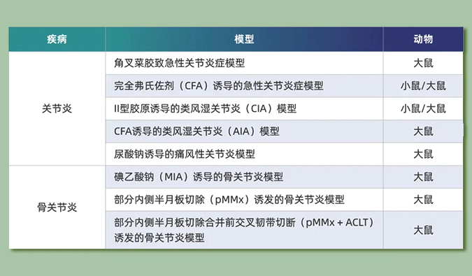 世界关节炎日：突破上亿人的共同难关，持续探索关节炎新药