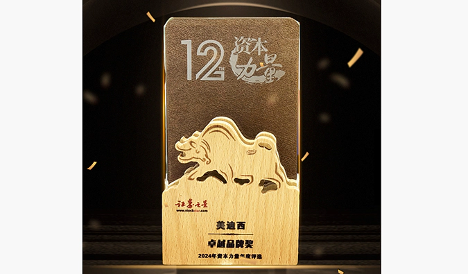 实力出圈！人生就是博荣膺之星“资本力量”2024年度“卓越品牌奖”