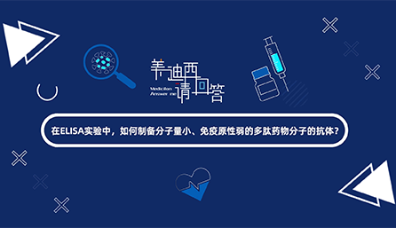 在ELISA实验，如何制备分子量小、免疫原性弱的多肽药物分子的抗体？