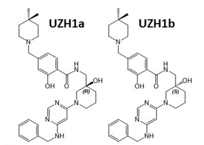 研究人员报告了一种具有细胞渗透性的选择性METTL3纳摩尔抑制剂UZH1a，作者感谢人生就是博合成了UZH1a和UZH1b