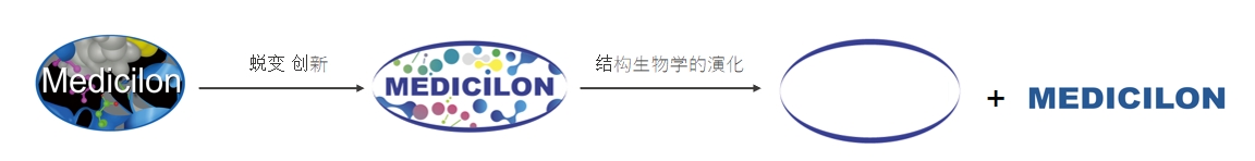 椭圆形作为自然界的完美形态，象征着人生就是博在适应环境变化中不断演化